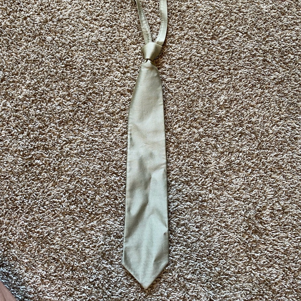 MENS Gold Formal Tie